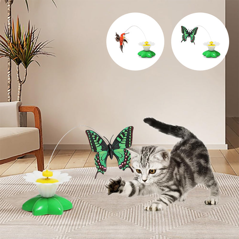 Electric bird teasing cat toy