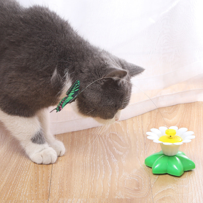 Electric bird teasing cat toy