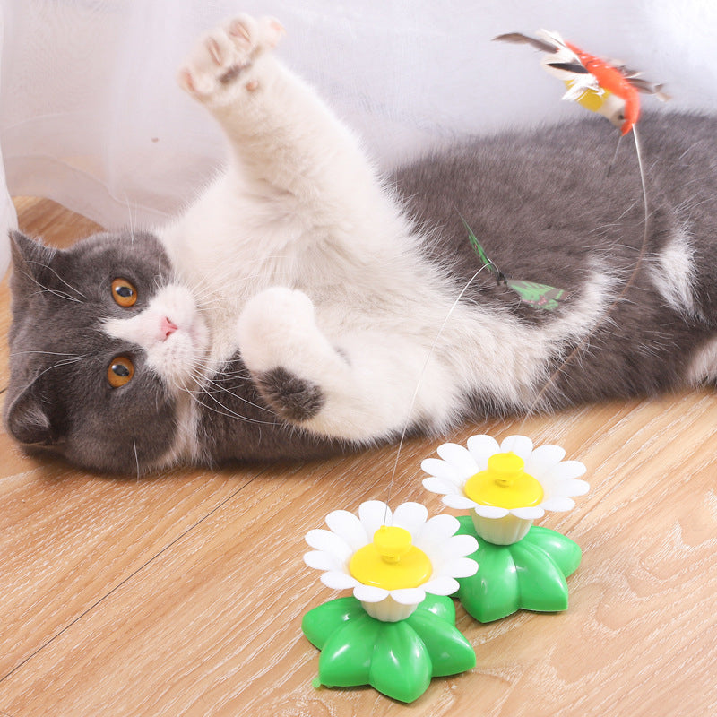 Electric bird teasing cat toy