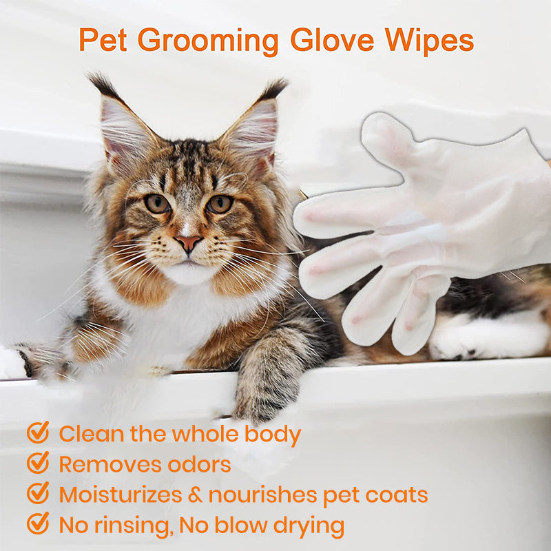 Pet Clean Wash Free Gloves