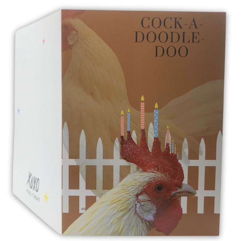 Hilarious Pop Up Dick Birthday Card Gift