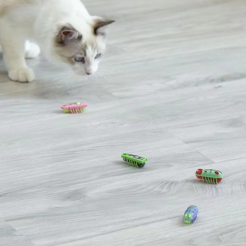 Pet Electric Bug Toy