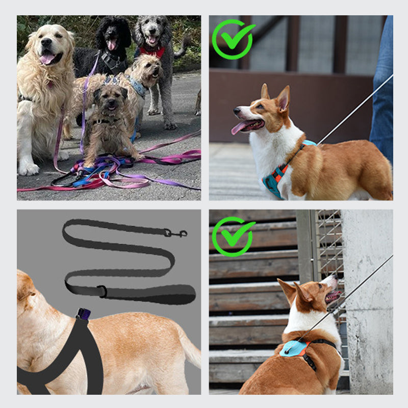 2 in 1 harness with integrated leash