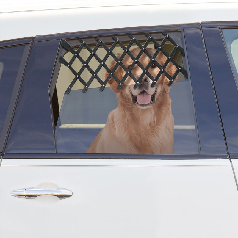 Child/pet car window guardrails