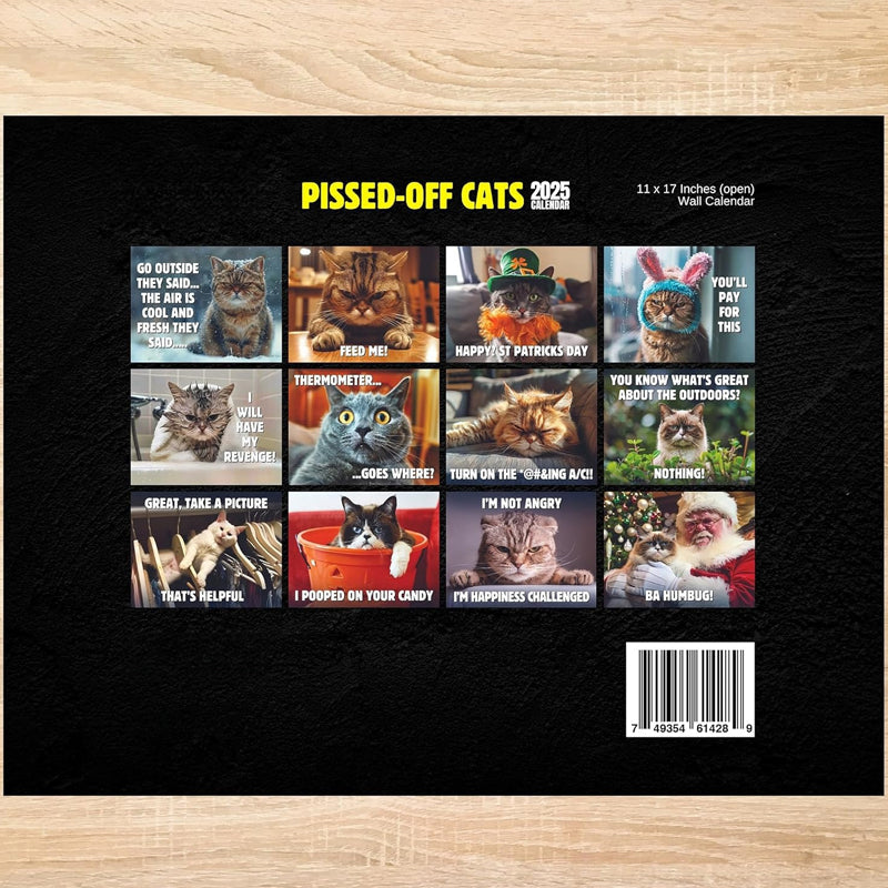 2025 Pissed-off Cats Calendar