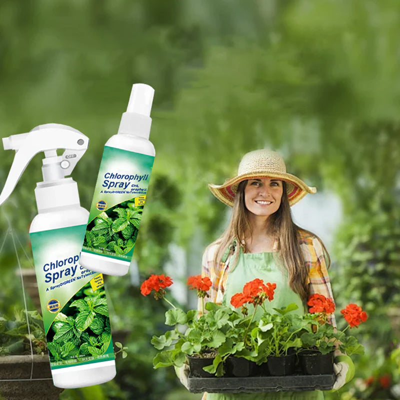 Chlorophyll Spray