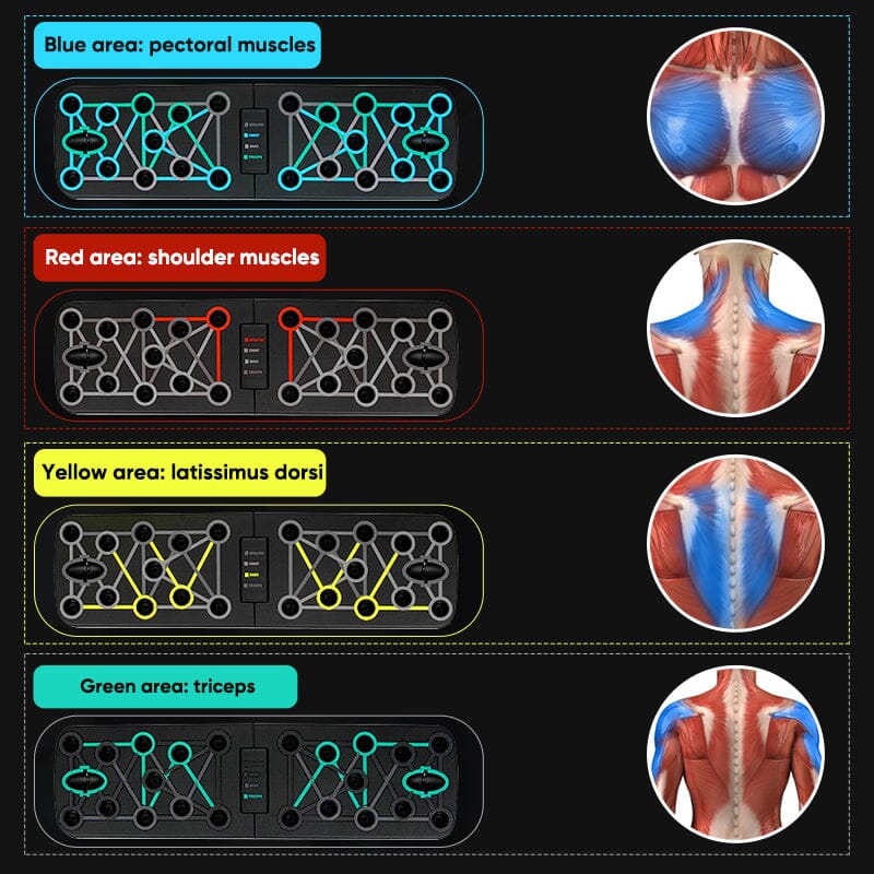 Foldable Push-Up Multi-Muscle Trainer