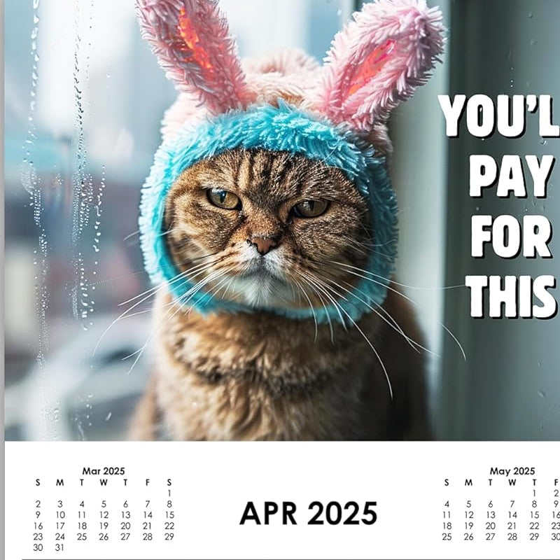 2025 Pissed-off Cats Calendar