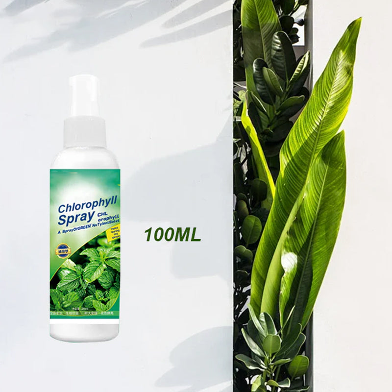 Chlorophyll Spray