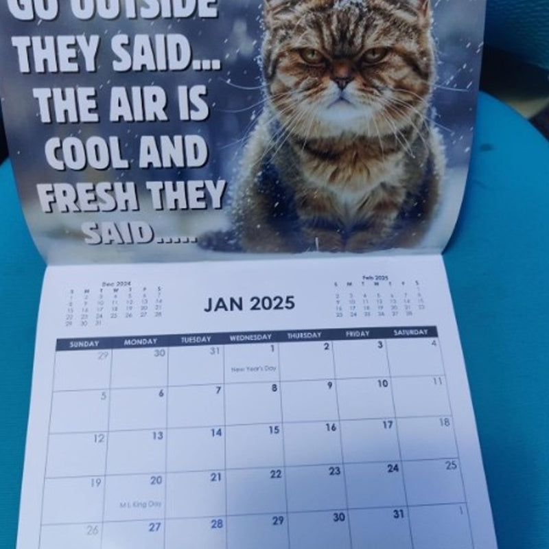 2025 Pissed-off Cats Calendar