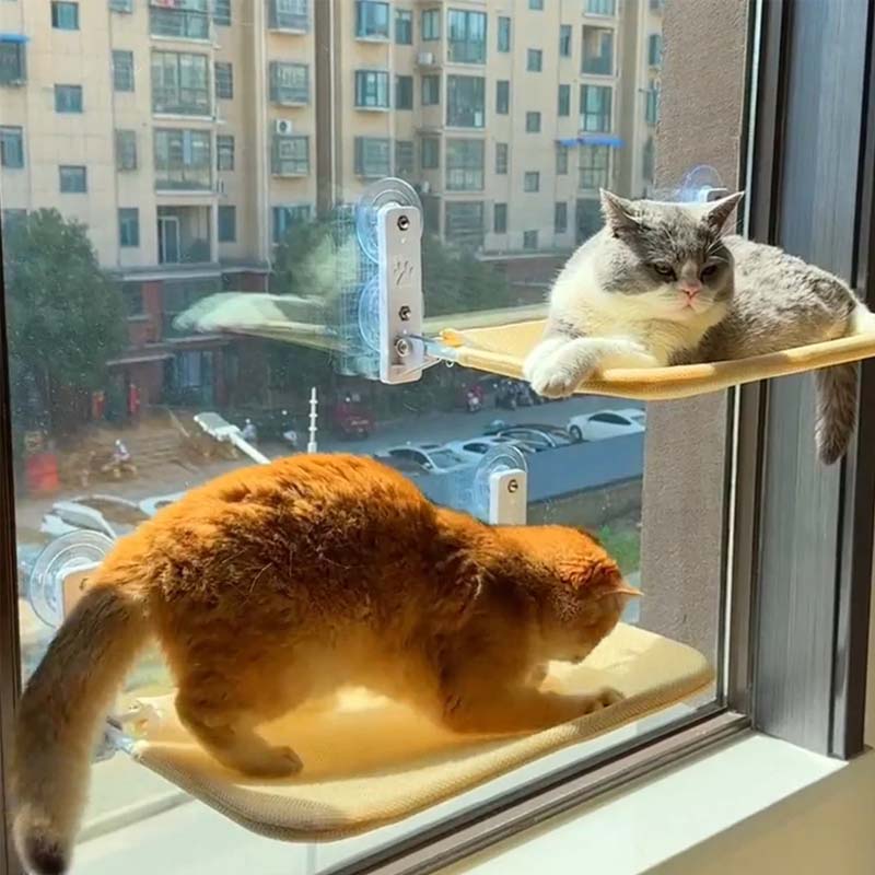 Foldable Cat Window Perch