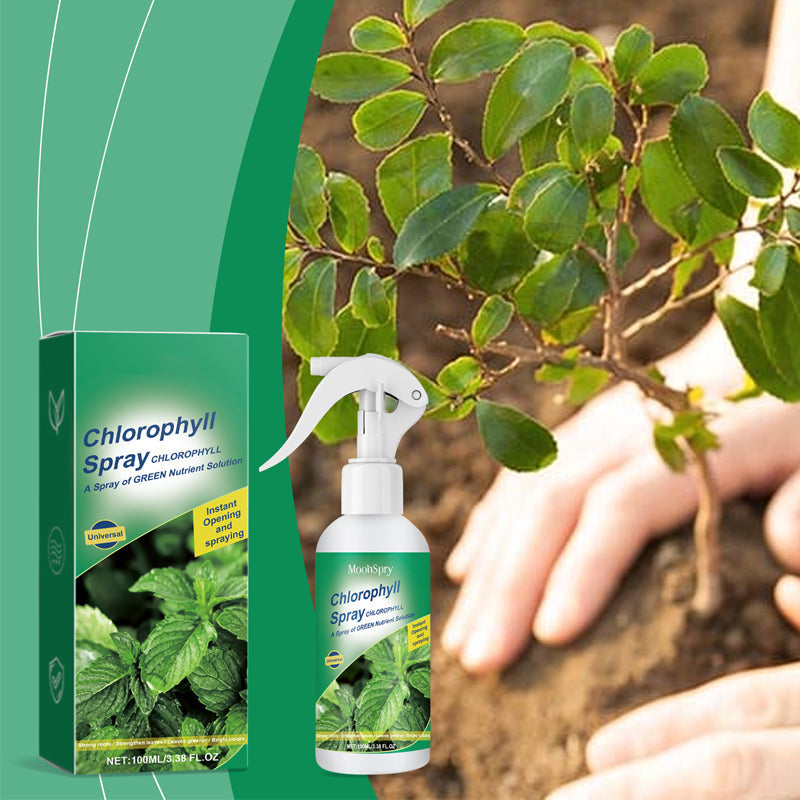 Chlorophyll Spray