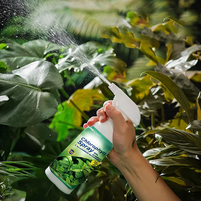 Chlorophyll Spray