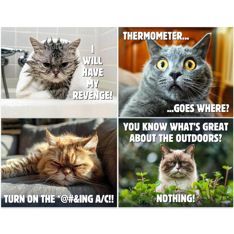 2025 Pissed-off Cats Calendar