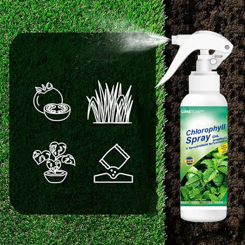 Chlorophyll Spray