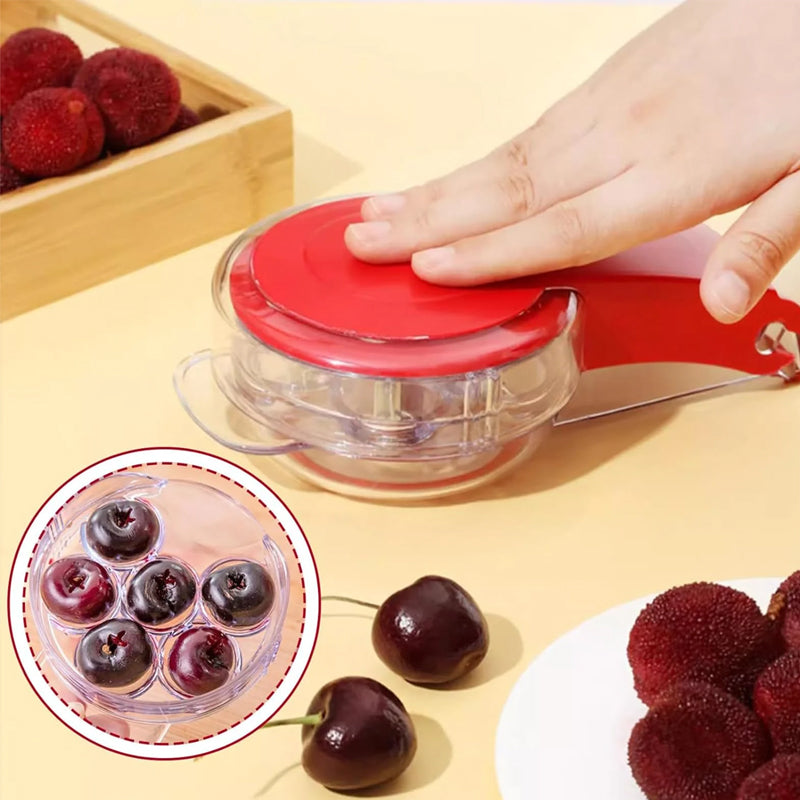 Cherry Pitter Tool