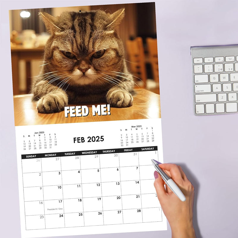 2025 Pissed-off Cats Calendar