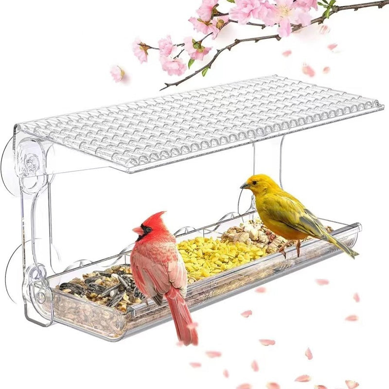 Outdoor Clear View Window Suction Cup Bird Feeder