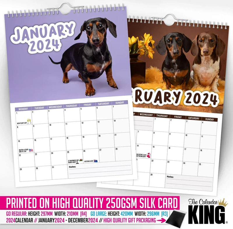 Cheeky Dachshunds - 2025 Wall Calendar