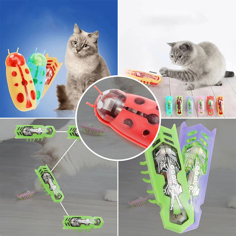 Pet Electric Bug Toy