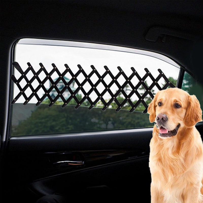 Child/pet car window guardrails