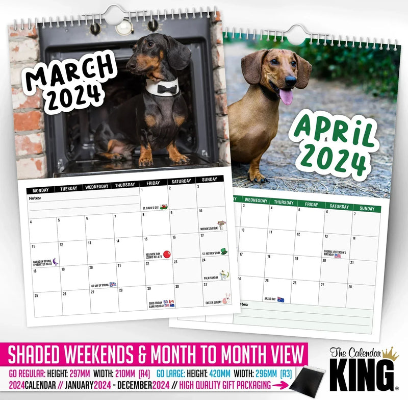 Cheeky Dachshunds - 2025 Wall Calendar