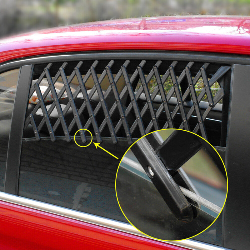 Child/pet car window guardrails