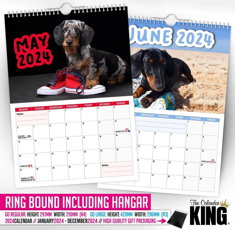 Cheeky Dachshunds - 2025 Wall Calendar