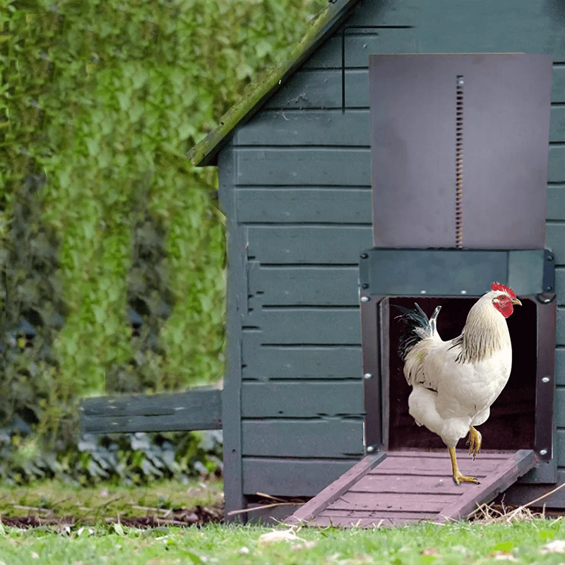 Automatic Chicken Coop Door