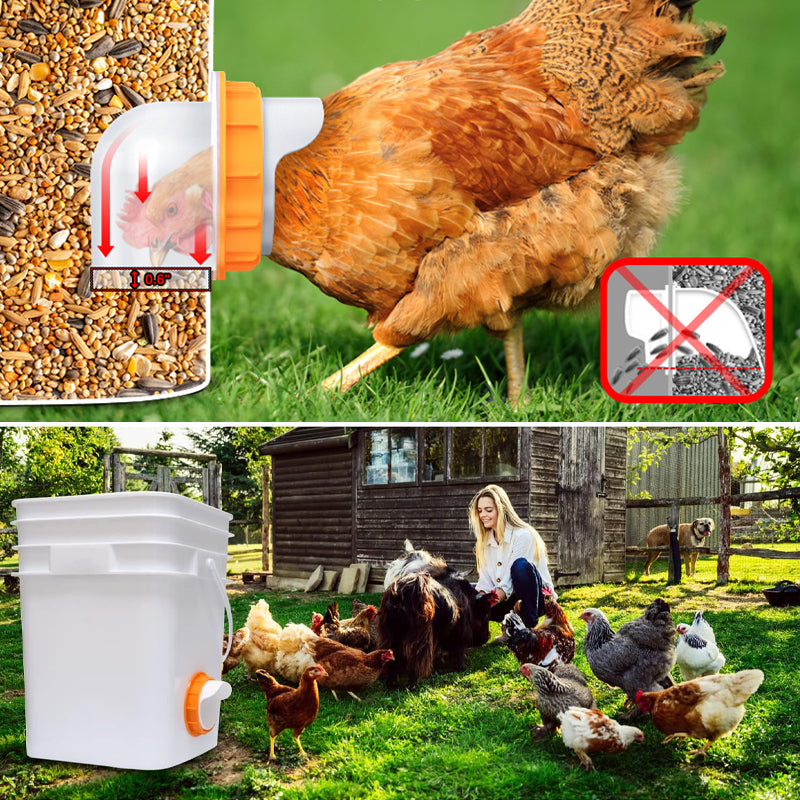 DIY Chicken Feeder