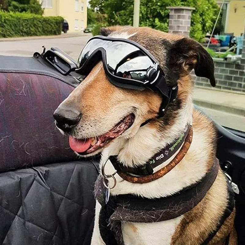 Outdoor Goggles for Dogs