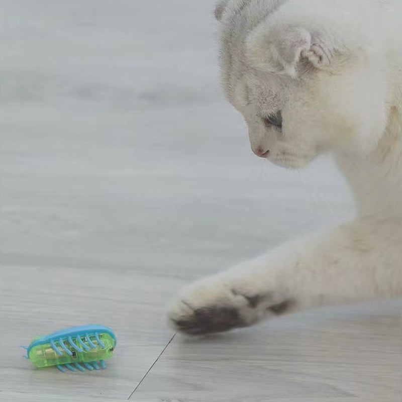 Pet Electric Bug Toy