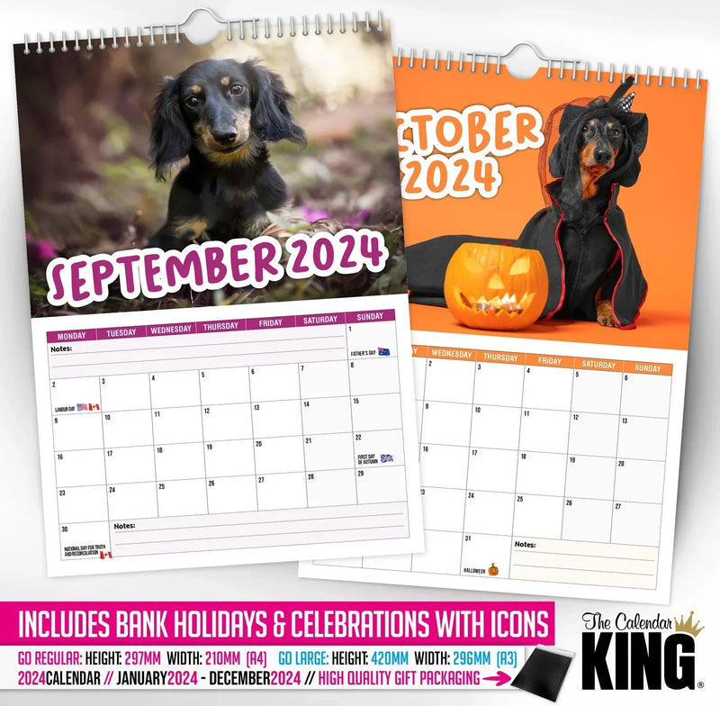 Cheeky Dachshunds - 2025 Wall Calendar