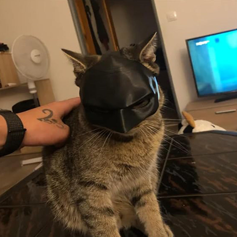 Bat Cat Mask