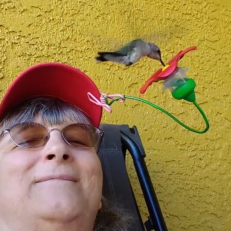 Hat Clip Hummingbird Feeder