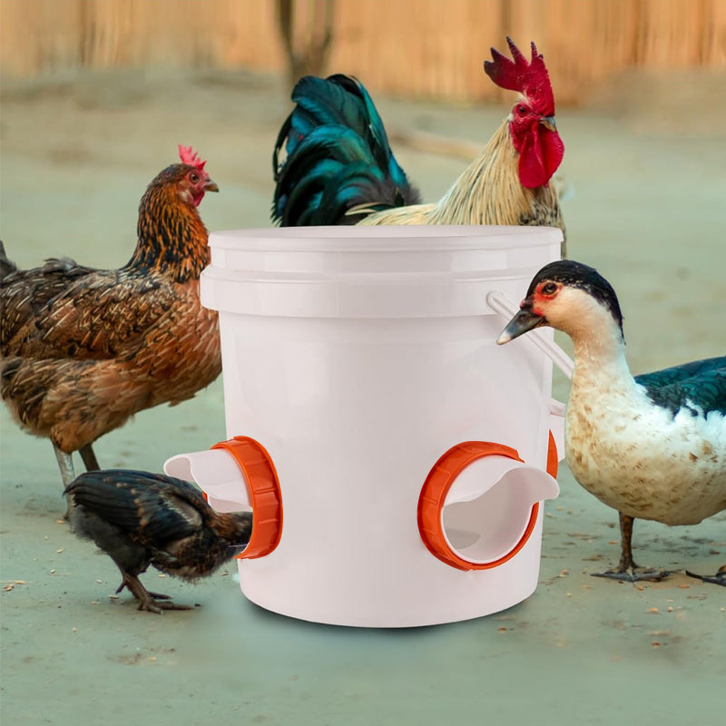 DIY Chicken Feeder