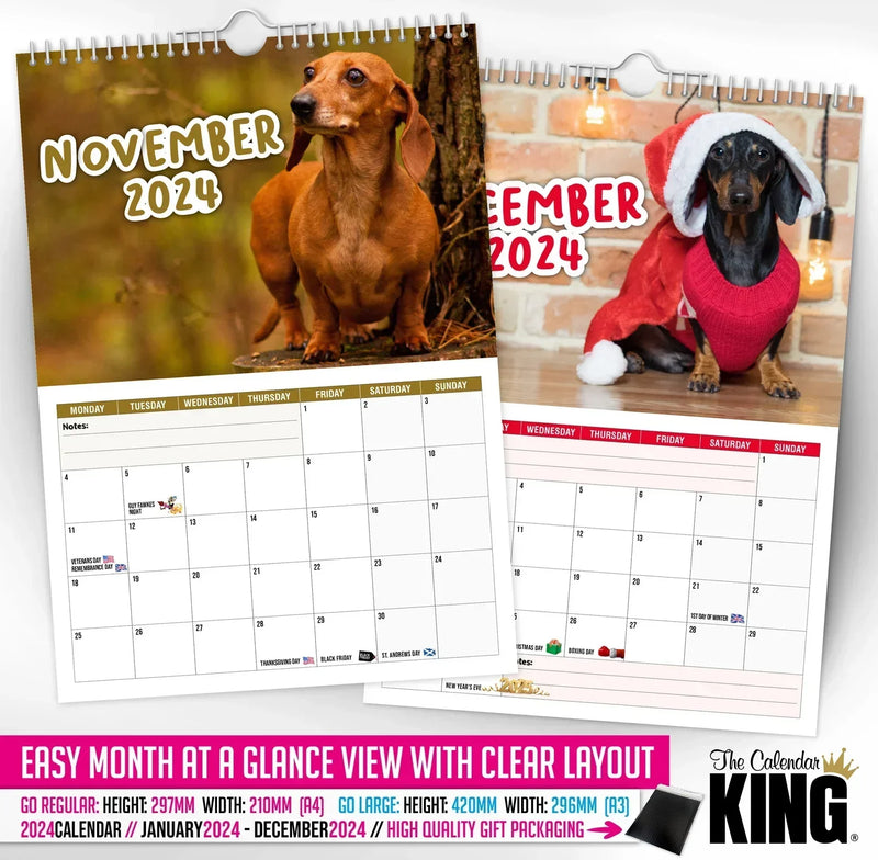 Cheeky Dachshunds - 2025 Wall Calendar