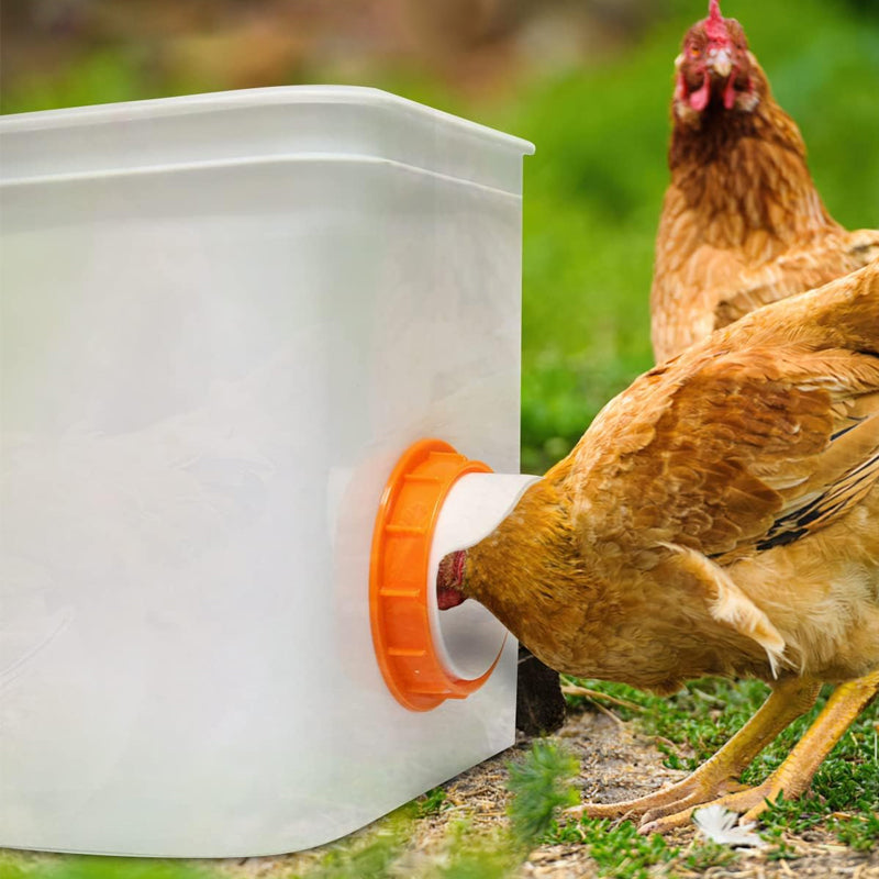 DIY Chicken Feeder