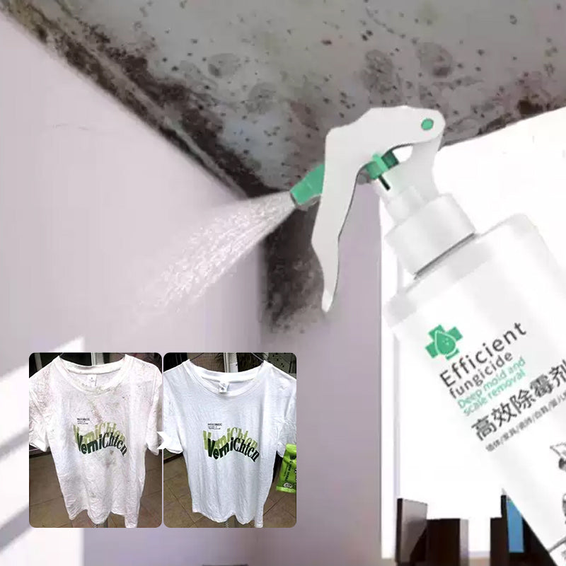 High-efficiency Mold Remover