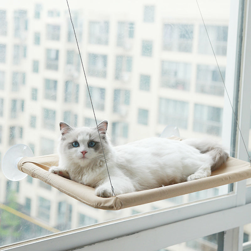 Suction Cup Cat Hammock