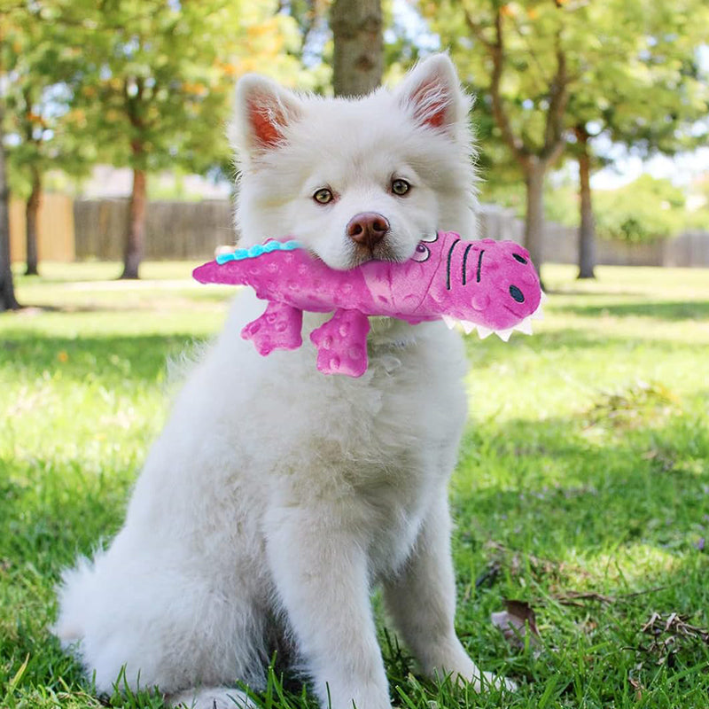 Pet plush toy sounding crocodile