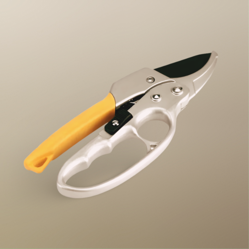 Professional Scateurs Garden Pruning Shears