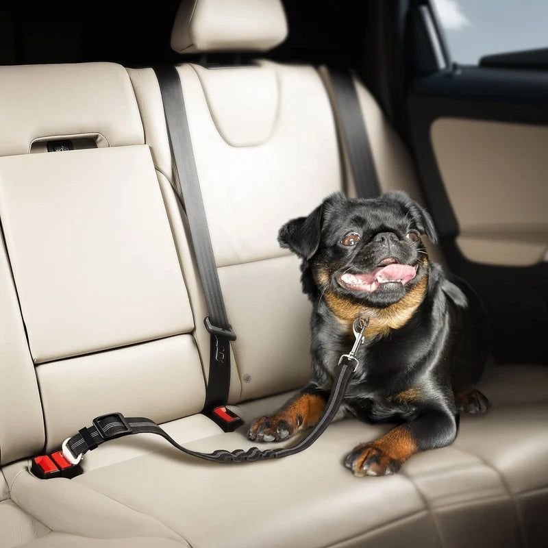 Adjustable Elastic Dog Seat Belt