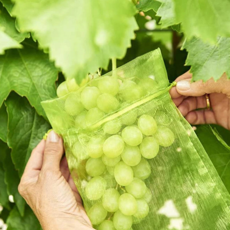 Fruit Protection Bag(100 PCS)