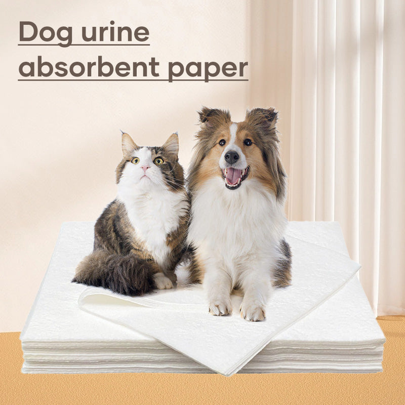 Pet Absorbent Paper(50pcs)