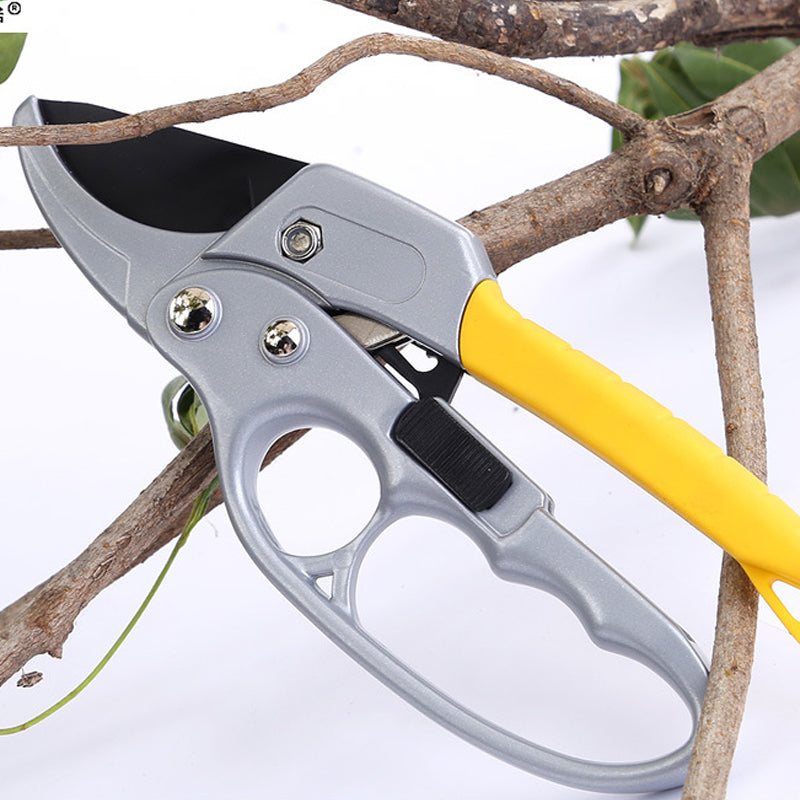 Professional Scateurs Garden Pruning Shears