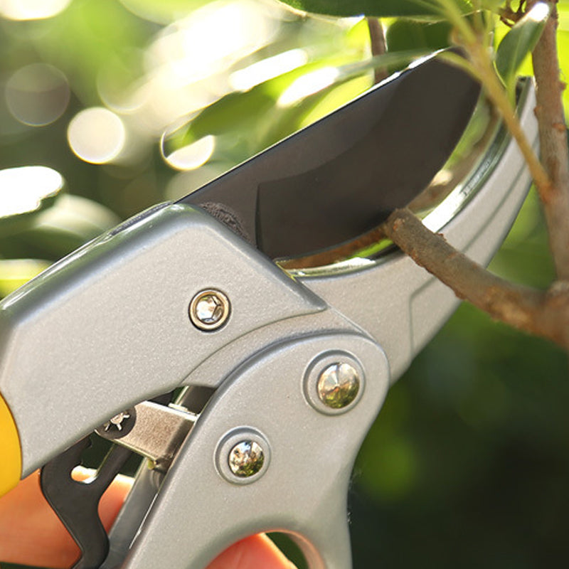 Professional Scateurs Garden Pruning Shears