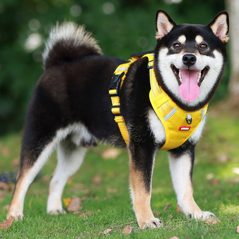 Reflective Dog Chest Strap