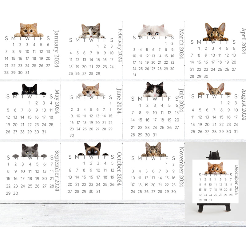 🐱2024 Peeking Cat Desk Calendar