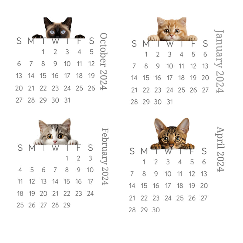 🐱2024 Peeking Cat Desk Calendar